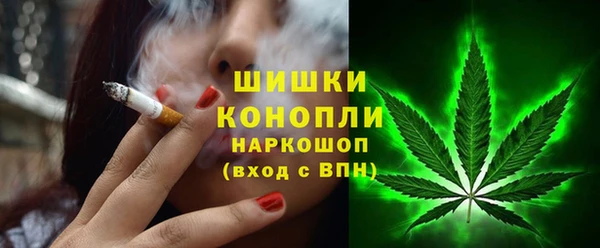 хмурый Абаза