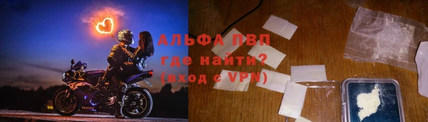 хмурый Абаза