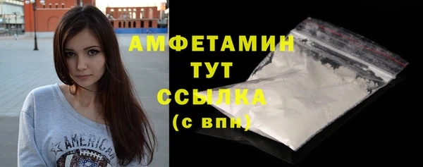 хмурый Абаза