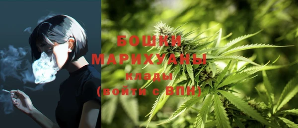хмурый Абаза