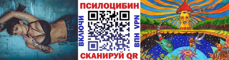Галлюциногенные грибы MAGIC MUSHROOMS  ссылка на мегу зеркало  Жердевка  закладки 